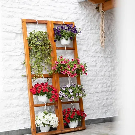 Lani 4* Gjirokastër